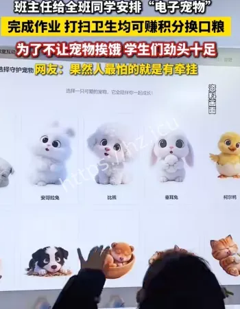 担心电子宠物饿死